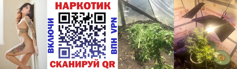 Продажа наркотиков Павловский Посад ГАШИШ  Героин  Меф  Конопля 