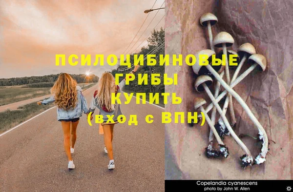 бошки Арсеньев