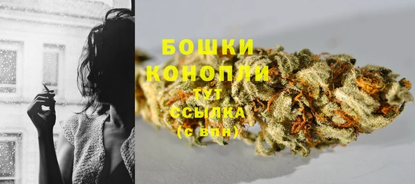 бошки Арсеньев