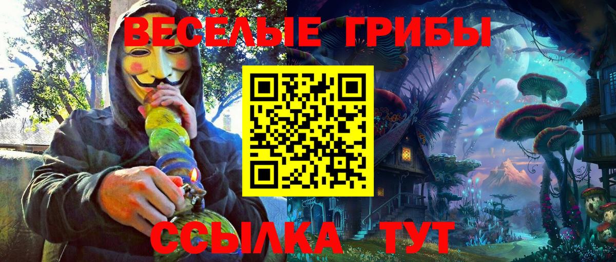 Павловский Посад  Псилоцибиновые грибы Magic Shrooms  Вход с VPN 