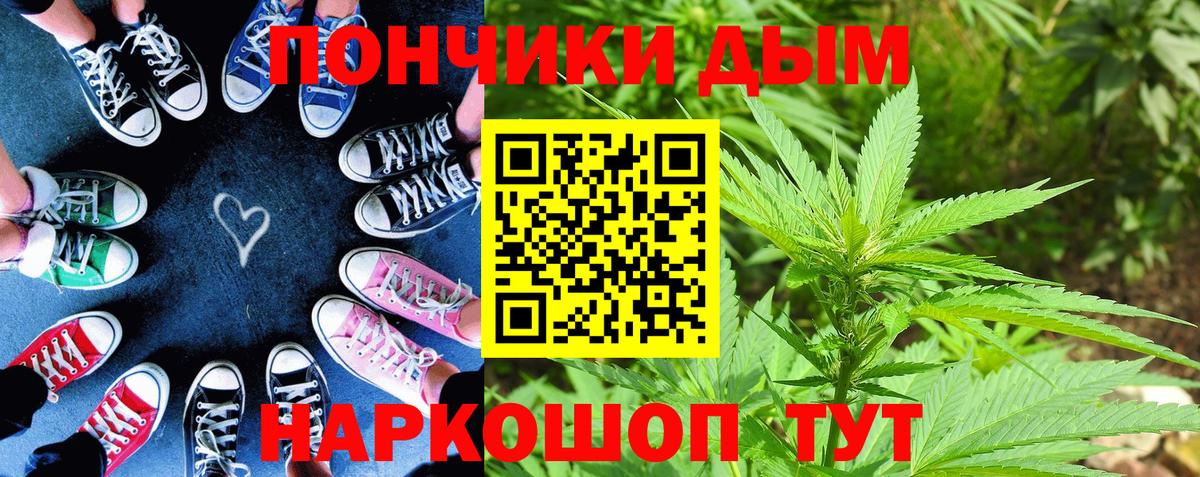 Конопля марихуана Павловский Посад